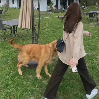 父亲是棵树